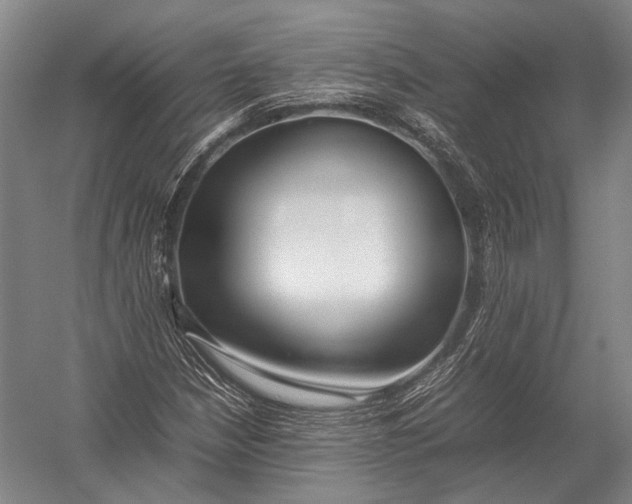 X0000052971210200507300128