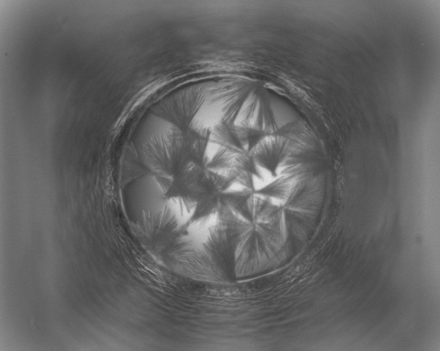 X0000052971215200507300128