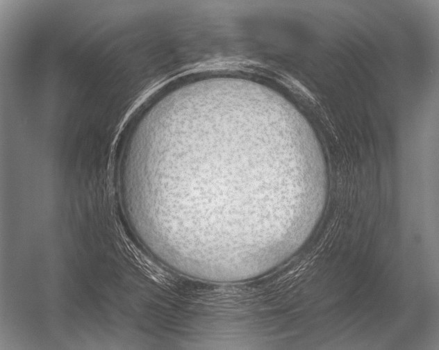 X0000052971216200507300129