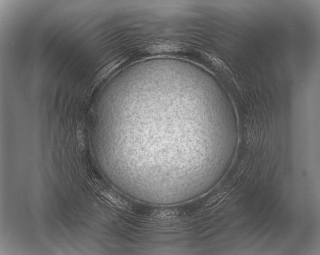 X0000052971217200507300129