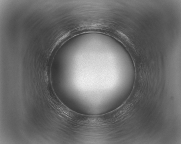 X0000052971218200507300129