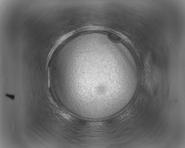 X0000052971223200507300129