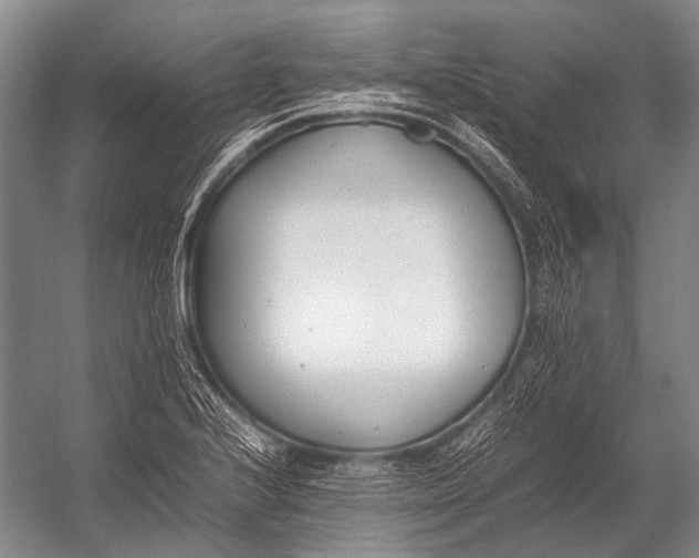 X0000052971224200507300129