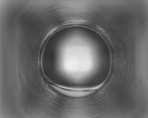 X0000052971226200507300129