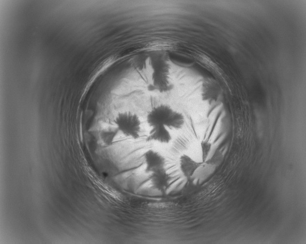 X0000052971227200507300129