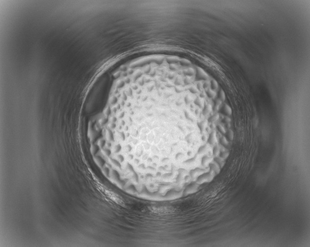 X0000052971231200507300129