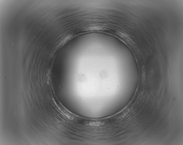 X0000052971233200507300129