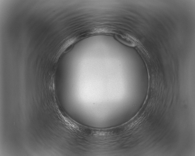 X0000052971241200507300129