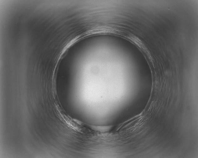 X0000052971242200507300129