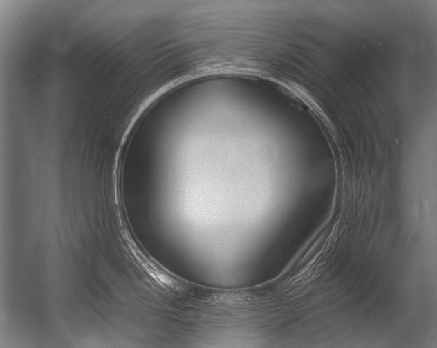 X0000052971246200507300129
