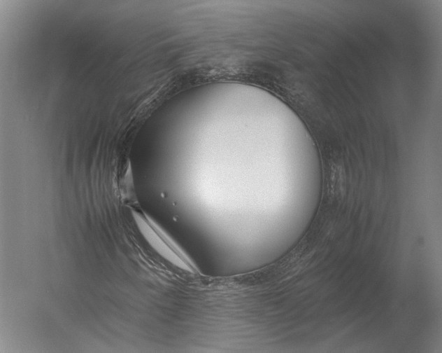X0000052971250200507300128