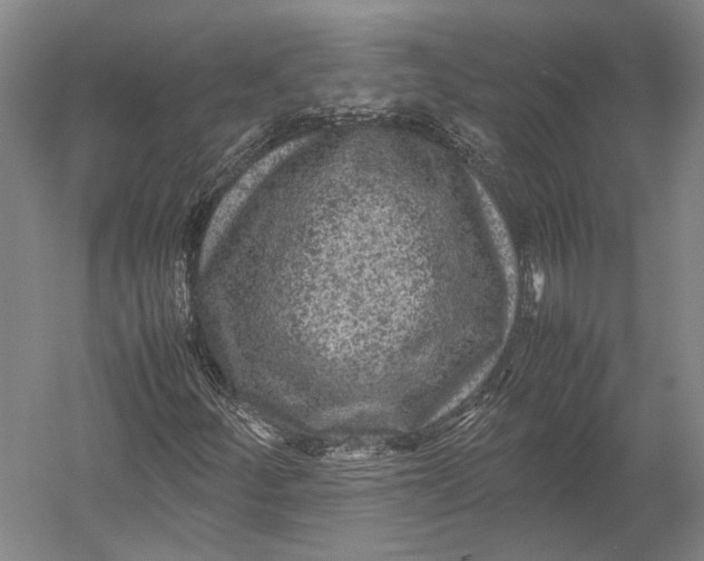 X0000052971252200507300128