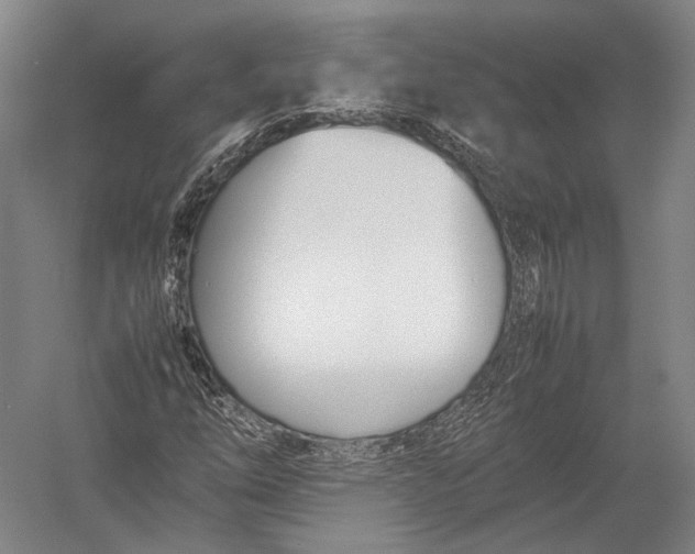 X0000052971254200507300128