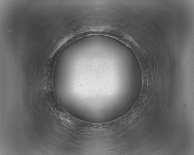 X0000052971256200507300128