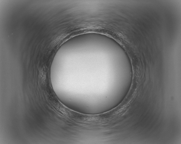 X0000052971257200507300128