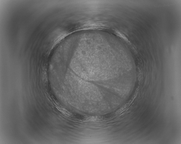 X0000052971259200507300128