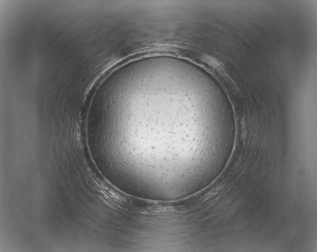 X0000052971260200507300128