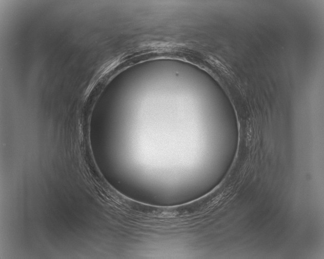 X0000052971261200507300128