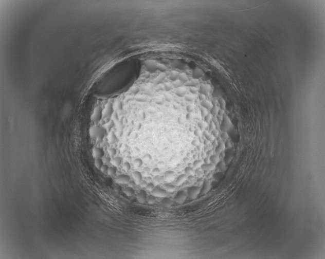 X0000052971263200507300128