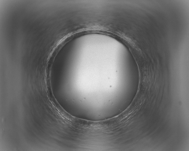 X0000052971264200507300128