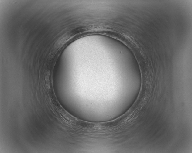 X0000052971265200507300128