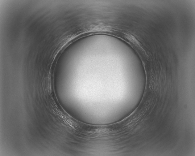X0000052971268200507300128