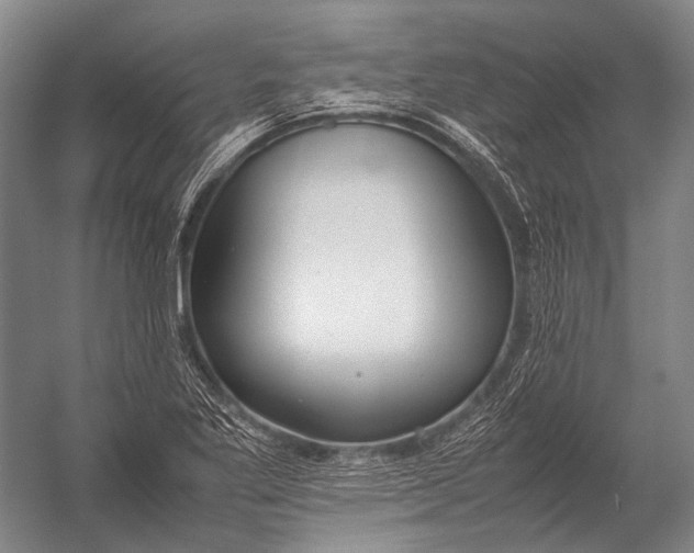 X0000052971269200507300128