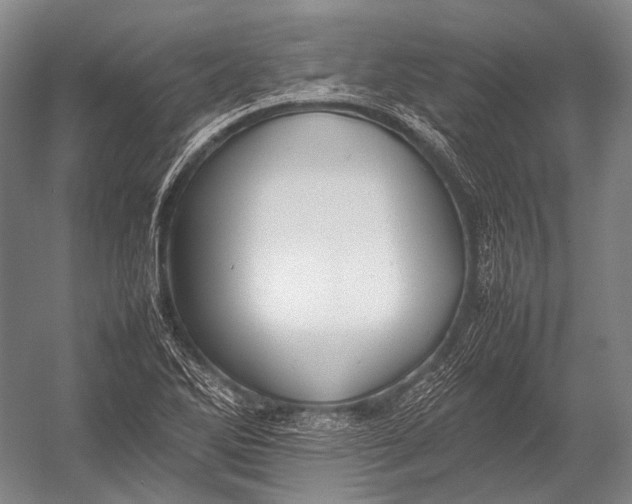 X0000052971270200507300128
