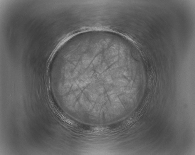 X0000052971271200507300128