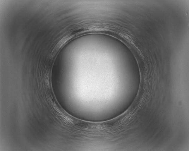 X0000052971273200507300128