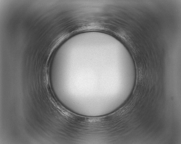 X0000052971274200507300128