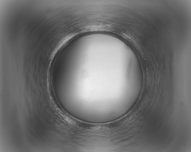 X0000052971277200507300128
