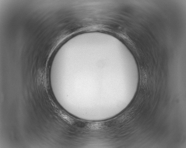 X0000052971278200507300128