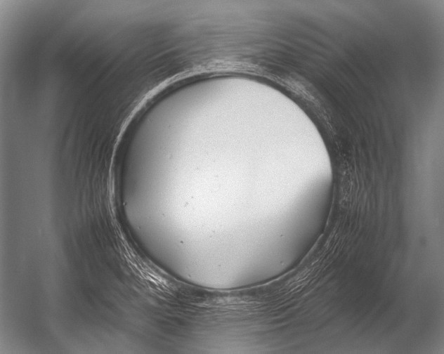 X0000052971280200507300128