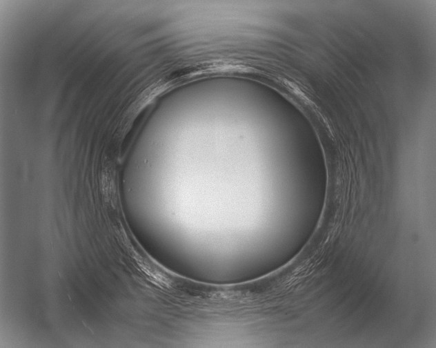 X0000052971281200507300128