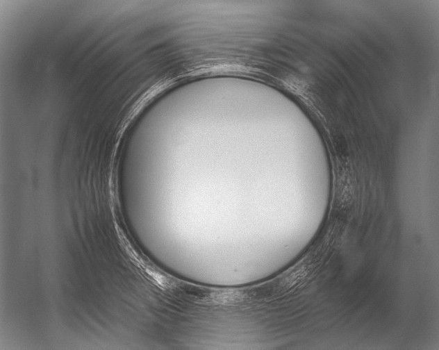 X0000052971282200507300128
