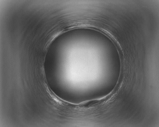 X0000052971289200507300128