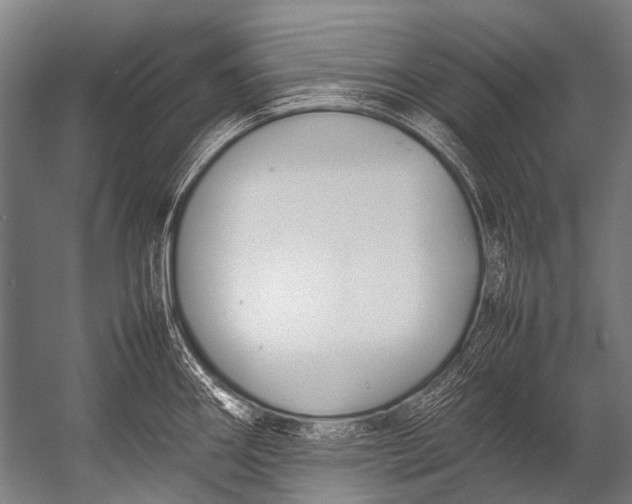 X0000052971290200507300128