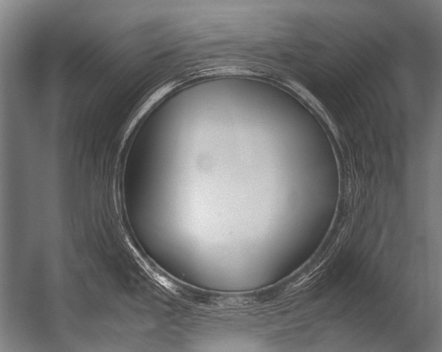 X0000052971293200507300127