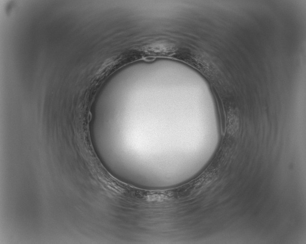 X0000052971297200507300127
