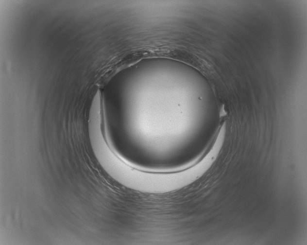 X0000052971298200507300127