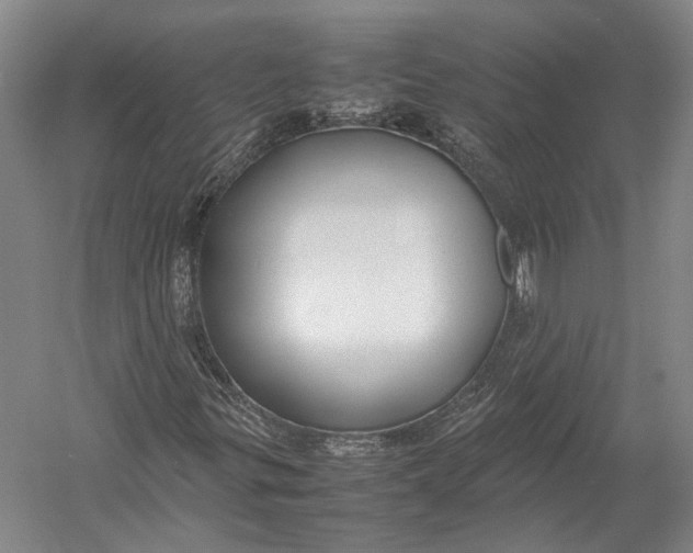 X0000052971299200507300127