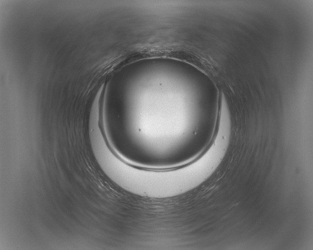 X0000052971300200507300127