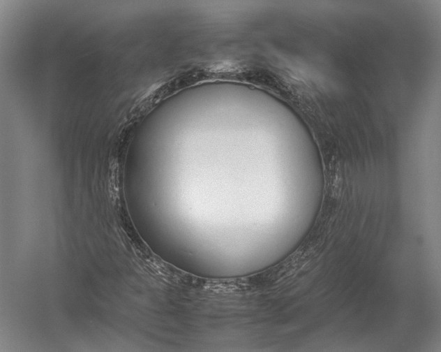 X0000052971301200507300127