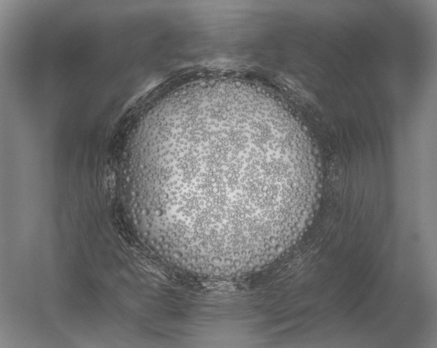X0000052971302200507300127