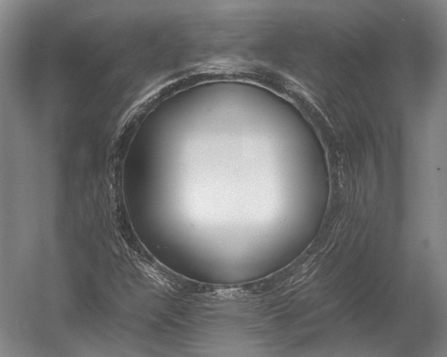 X0000052971304200507300127