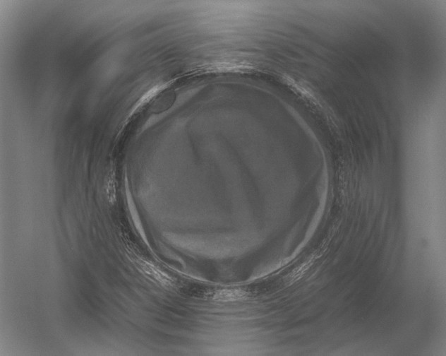 X0000052971306200507300127