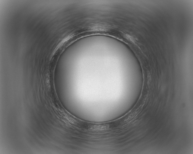 X0000052971307200507300127