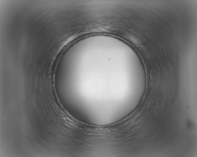 X0000052971308200507300127