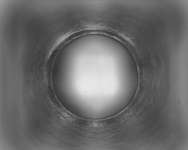 X0000052971311200507300127